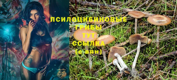 PSILOCYBIN Арсеньев